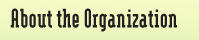 About the Organization