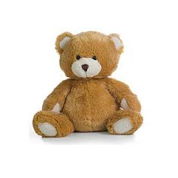 Stuffed Bear